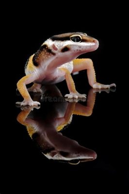  Yellow-Eyed Gecko: Spindly Limbs That Grip Tight!